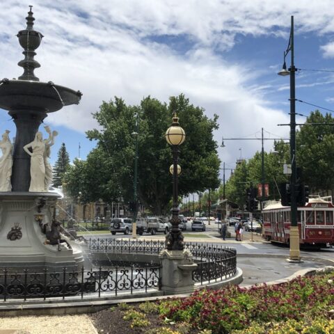 Bendigo fountain and tram